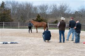 LR-WRF 0402026 Retreat-3211